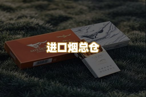 进口烟总仓